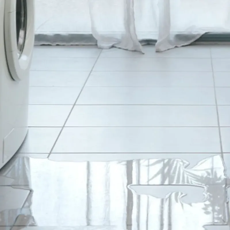 Appliance Leak Cleanup in Richmond County, VA