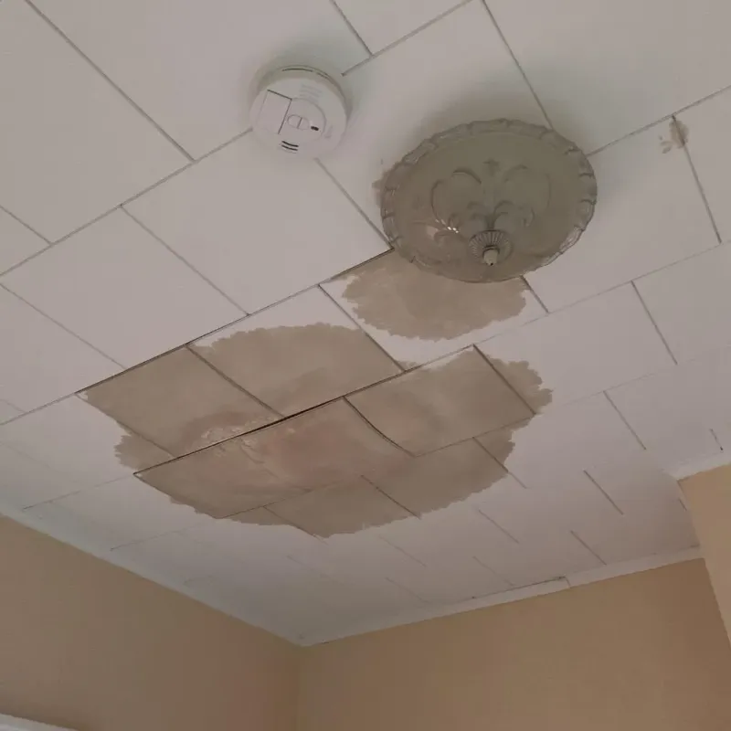 Ceiling Water Damage Repair in Richmond County, VA