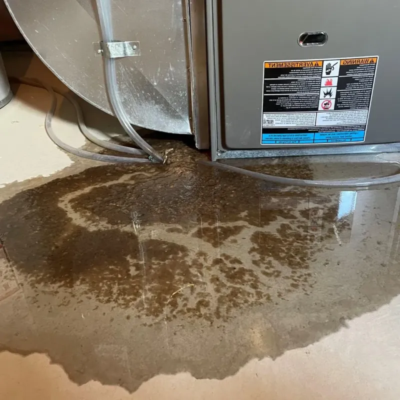 Pipe Burst and Leak Restoration in Richmond County, VA