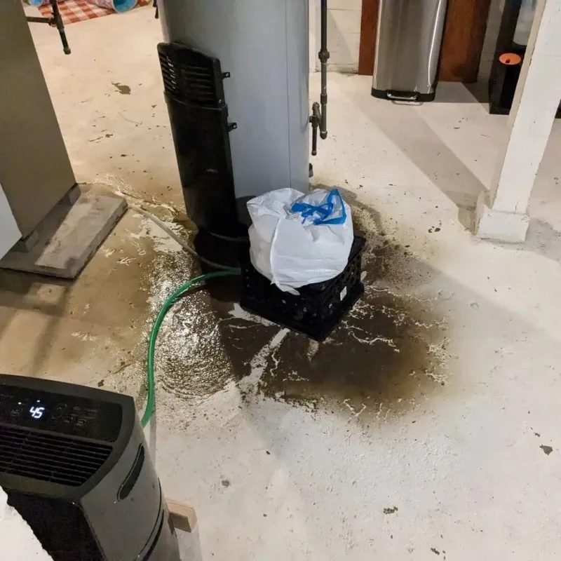 Sewage Backup Cleanup Service in Richmond County, VA